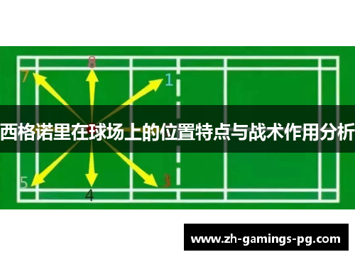 西格诺里在球场上的位置特点与战术作用分析