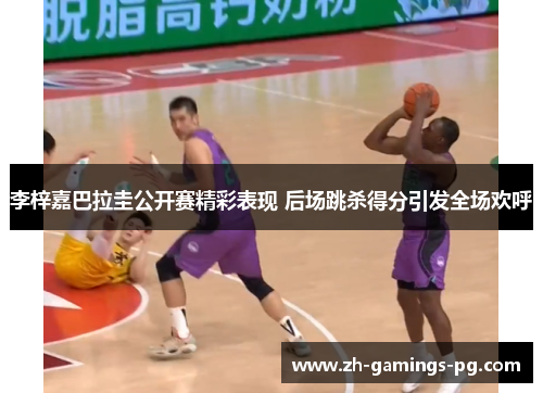 李梓嘉巴拉圭公开赛精彩表现 后场跳杀得分引发全场欢呼