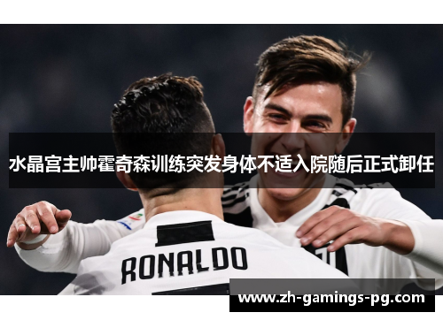 水晶宫主帅霍奇森训练突发身体不适入院随后正式卸任 水晶宫主帅霍奇森训练突发身体不适入院随后正式卸任