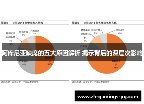 阿库尼亚缺席的五大原因解析 揭示背后的深层次影响