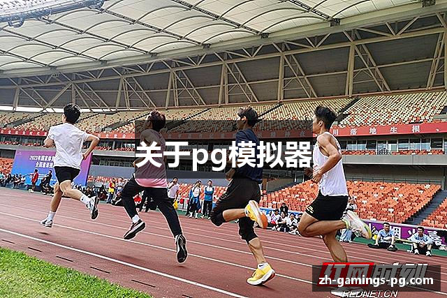 关于pg模拟器